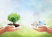 Razem możemy więcej – wolontariat pracowniczy w Aluprof SA