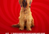 Zabierz psa na zakupy w MediaMarkt