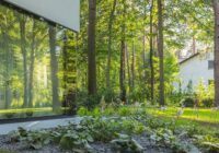 POiD – Okna drewniane: historia i współczesność