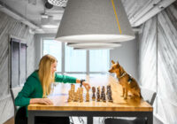 Nowe miejsce coworkingu Brain Embassy w centrum biznesowego Mokotowa