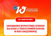 Charytatywne wiosenne bieganie z Fundacją Grupy Aliplast